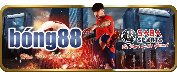 Sân bóng đá với cầu thủ đang thi đấu